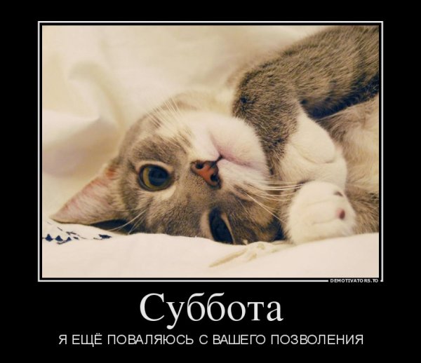 Приколы про сон