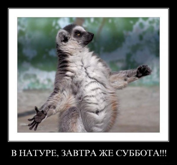 Ура завтра суббота