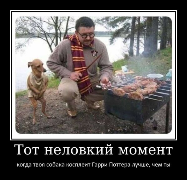 Вечер субботы демотиватор