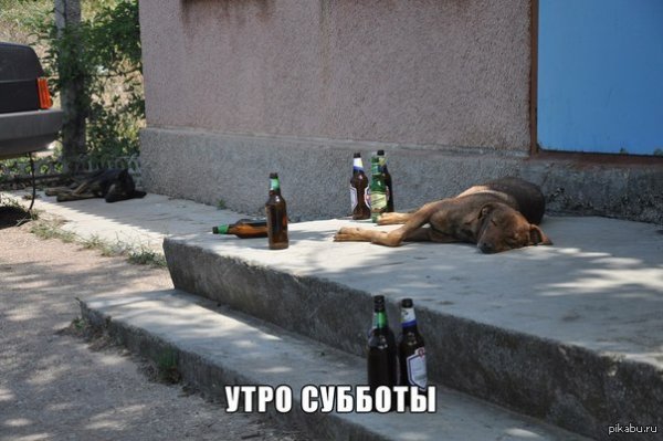Суббота демотиватор