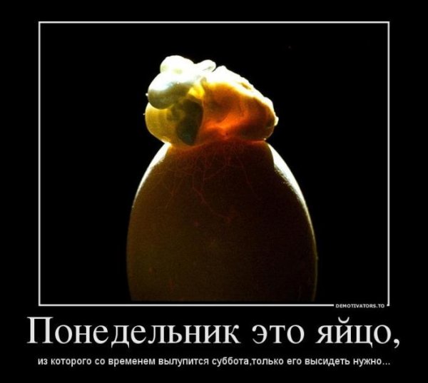 Демотиваторы про утро субботы