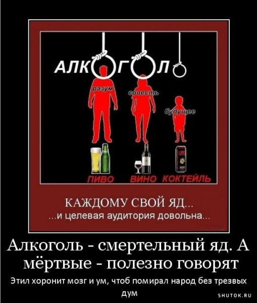 Алкогольные демотиваторы