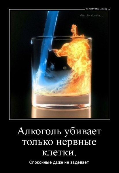 Демотиваторы про пьянство