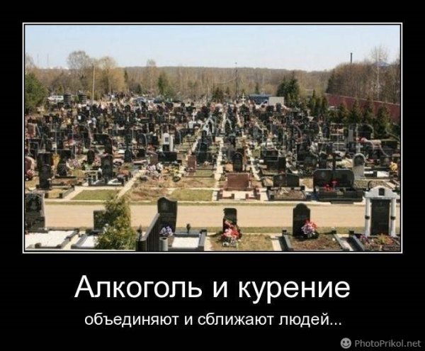 Демотиваторы против курения и алкоголя