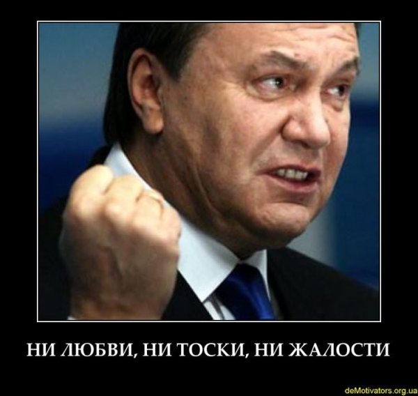 Янукович воровал шапки