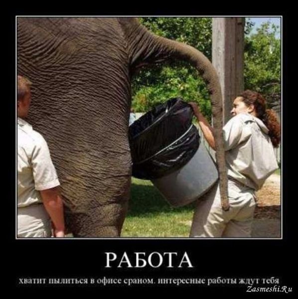 Демотиваторы про дачу