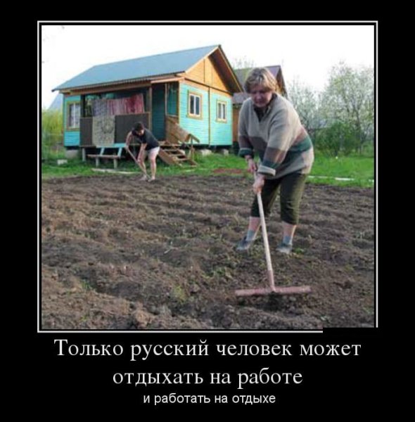 Прикольные про работу