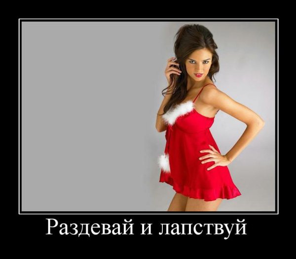 Демотиваторы про дошик