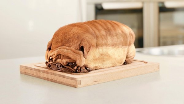 Мопс Буханка хлеба