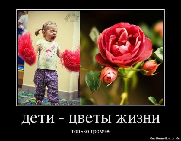 Демотиваторы про детей