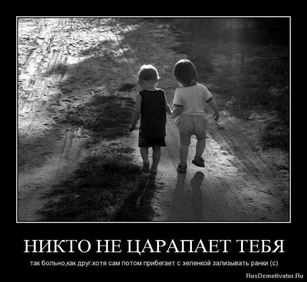 Настоящий друг