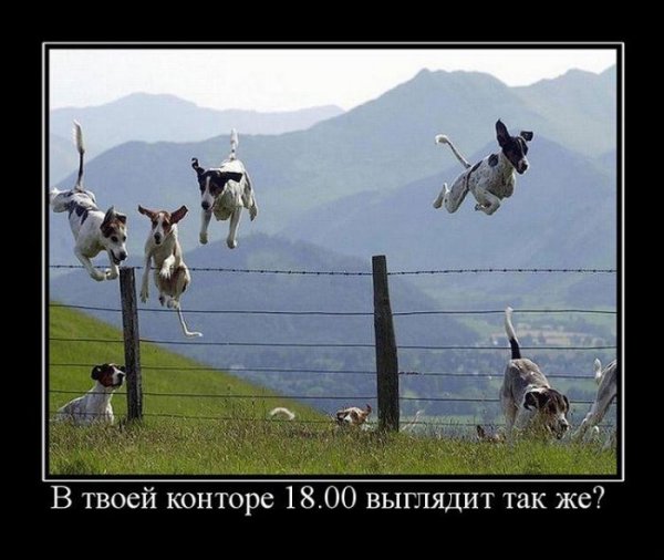 Демотиваторы интересные факты