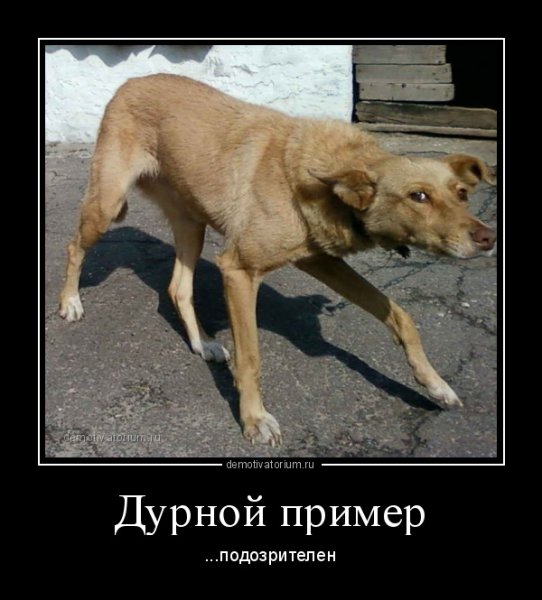 Демотиватор пример