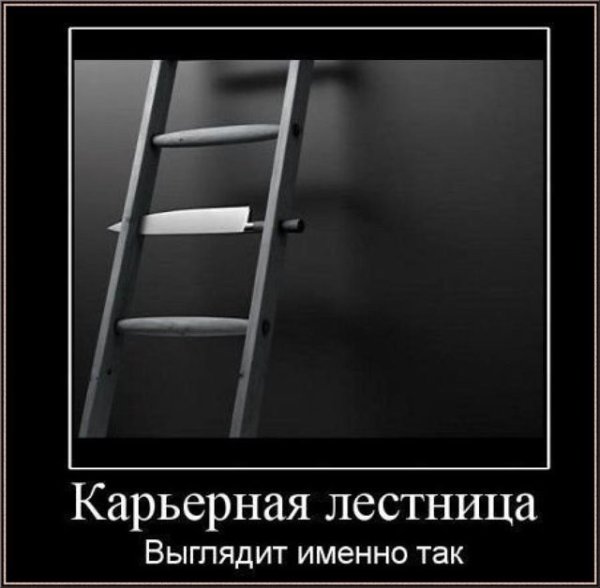 Карьерная лестница демотиватор
