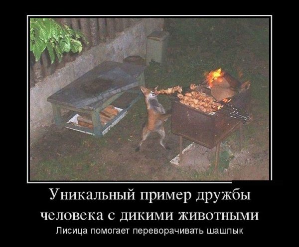 Шашлык прикол