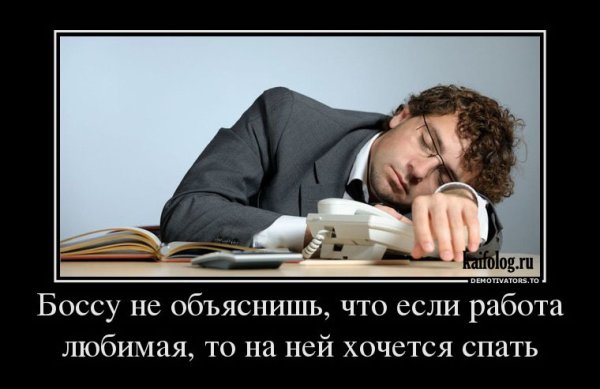 Босс демотиватор
