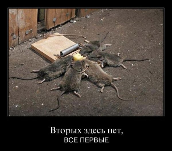 Работа в команде демотиватор