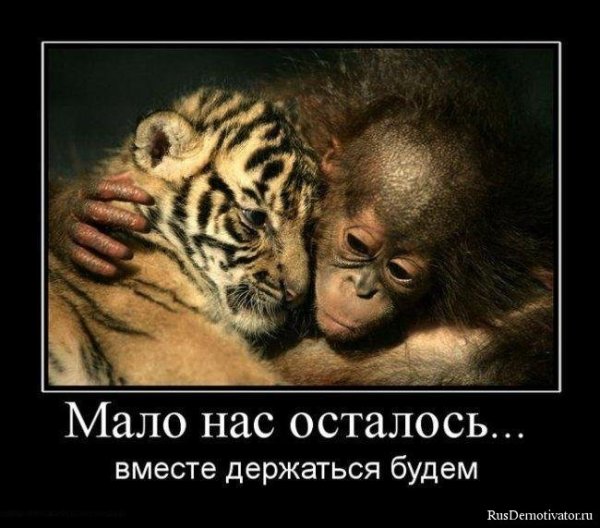 Демотиваторы держись
