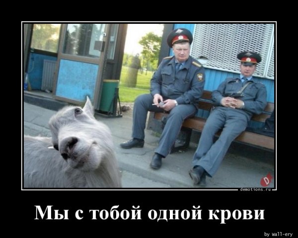 Милиционер прикол