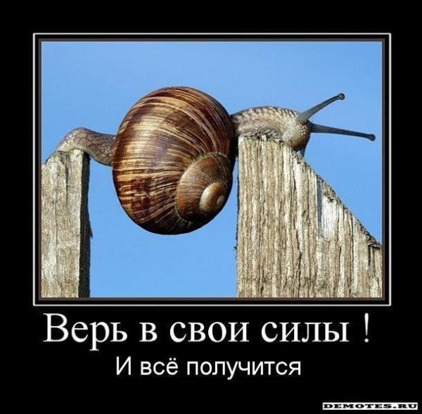 Верь в свои силы и все получится