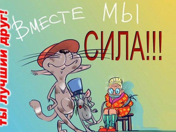 Открытки про дружбу прикольные
