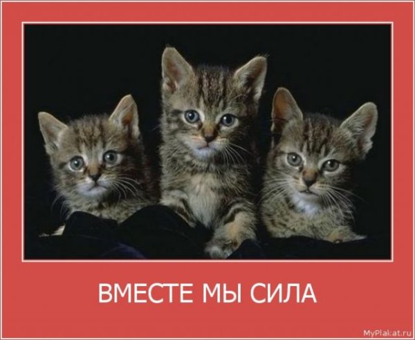 Фото вместе мы сила