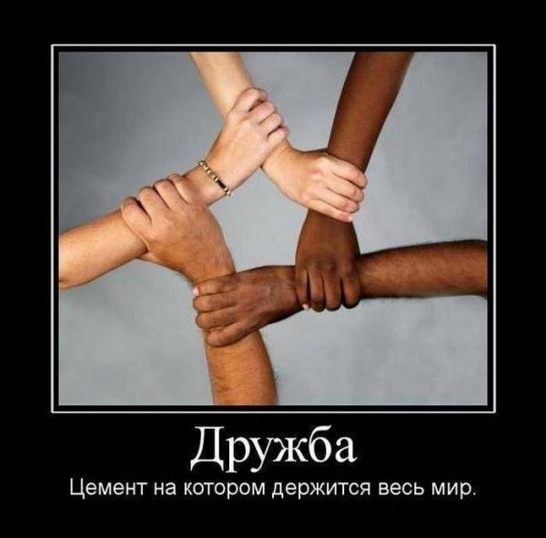 Дружба Веселые картинки