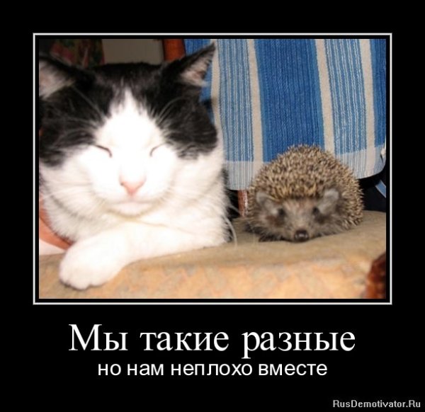 Мы такие разные!