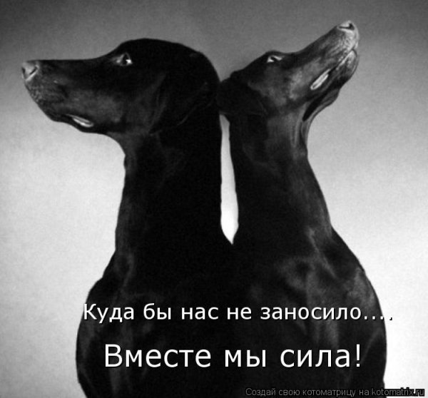 Вместе мы сила