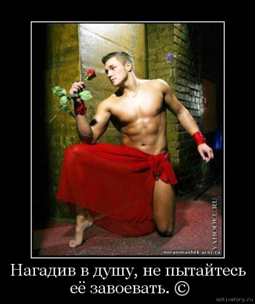 Идеальный мужчина юмор