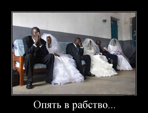 Приколы про женитьбу
