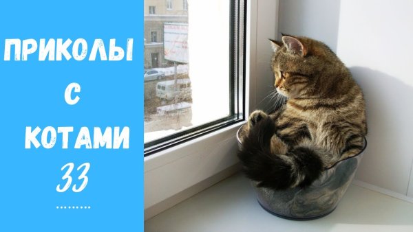Демотиваторы смешные