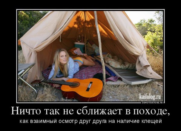 Среда демотиваторы