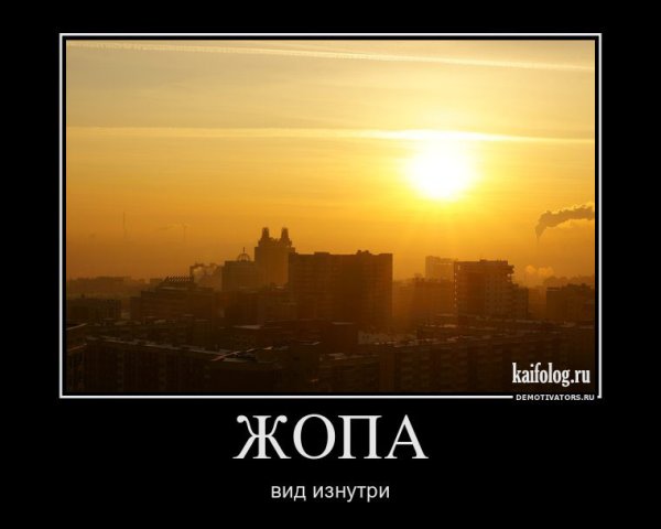 Цитаты про среду