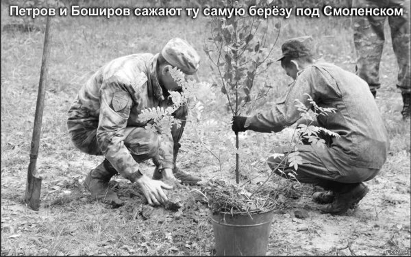 Петров и Боширов юмор