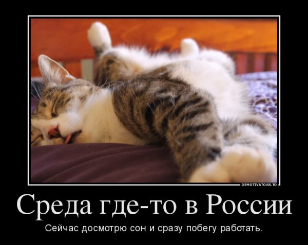 Демотиваторы о добром утре