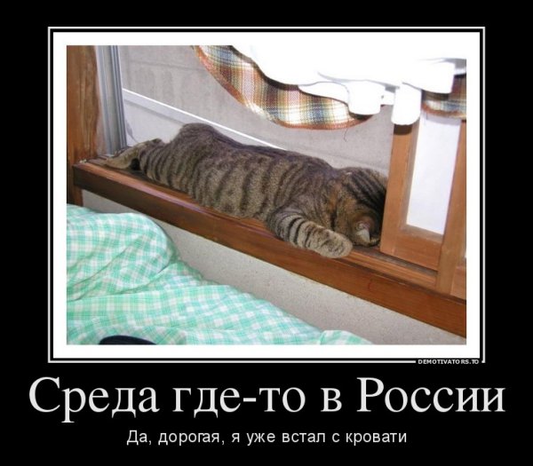 Среда демотиваторы