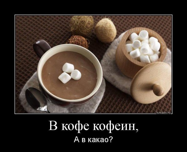 Среда приколы
