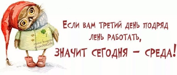 Высказывания про среду смешные