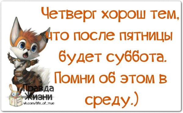 Котик в среду