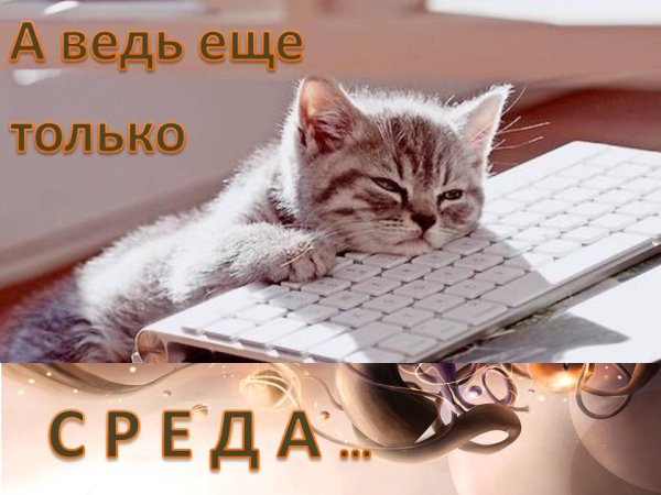 Среда маленькая пятница