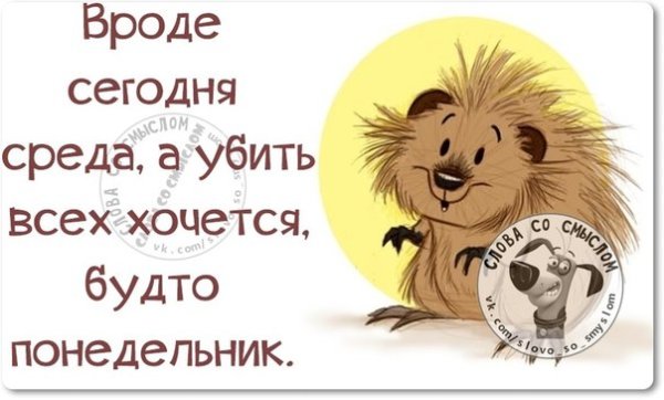Утро добрым бывает