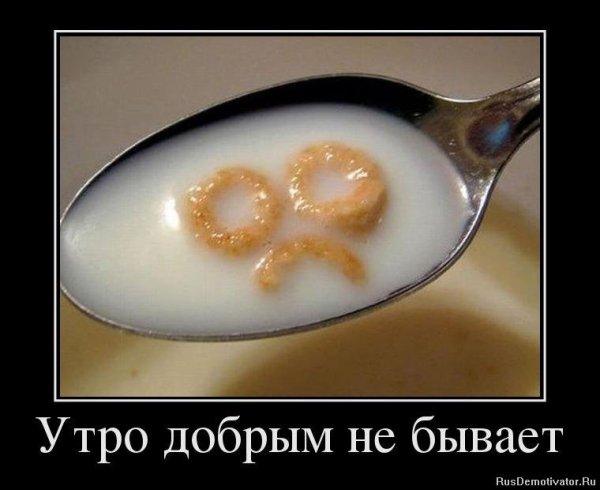 Высказывания про среду смешные