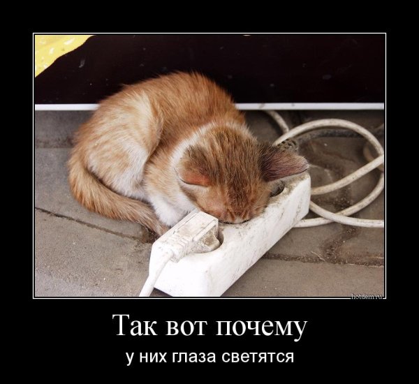 Афоризмы про среду смешные