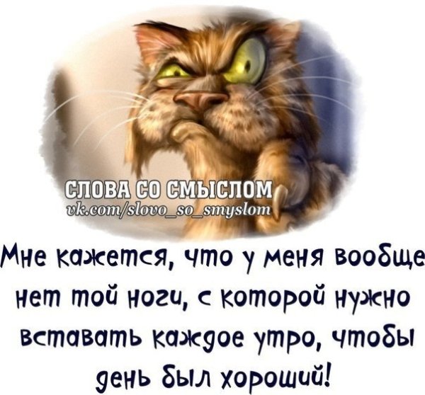 Доброе утро среда