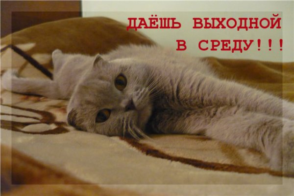 Смешные картинки с добрым апрельским утром среды