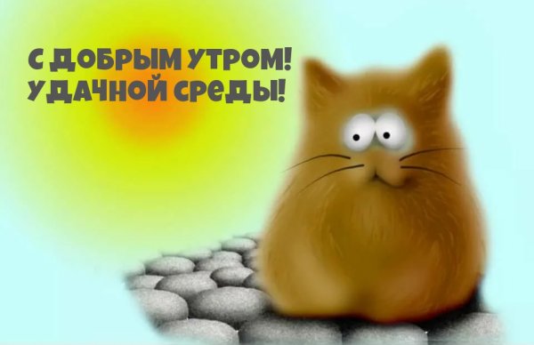 Среда фото приколы