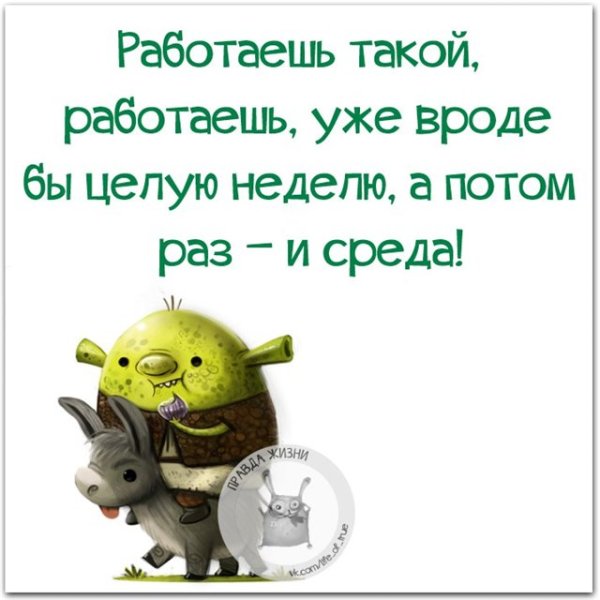 Открытки со средой прикольные