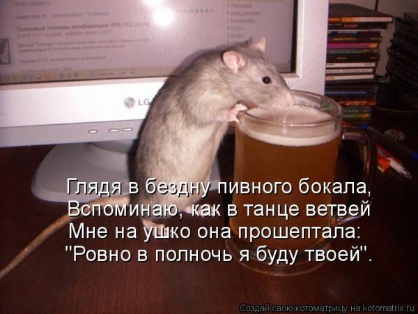 Афоризмы про среду
