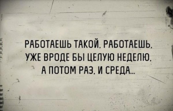 Высказывания про среду смешные